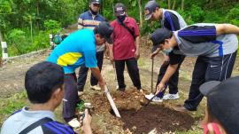 Penanaman Pohon Perindang