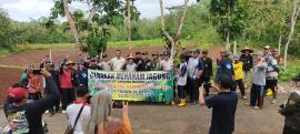 Gerakan Menanam Jagung GAPOKTAN TILENG GIRISUBO GUNUNGKIDUL